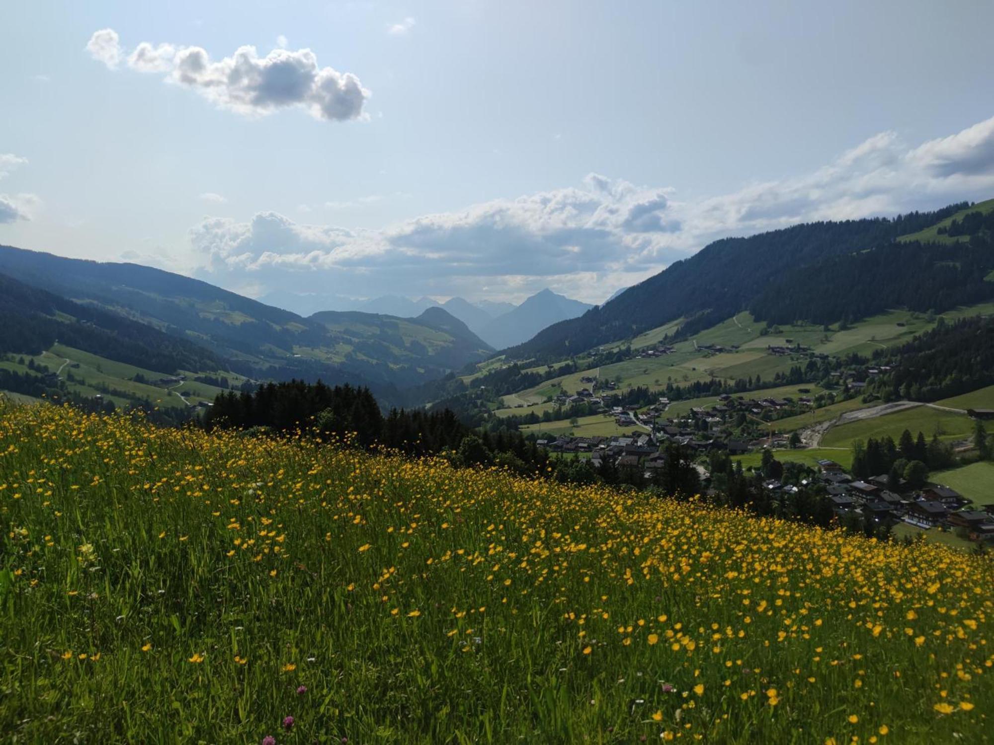 Chalet Mountain View Alpbach Exteriér fotografie